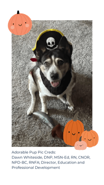 Dawns puppy in halloween costume