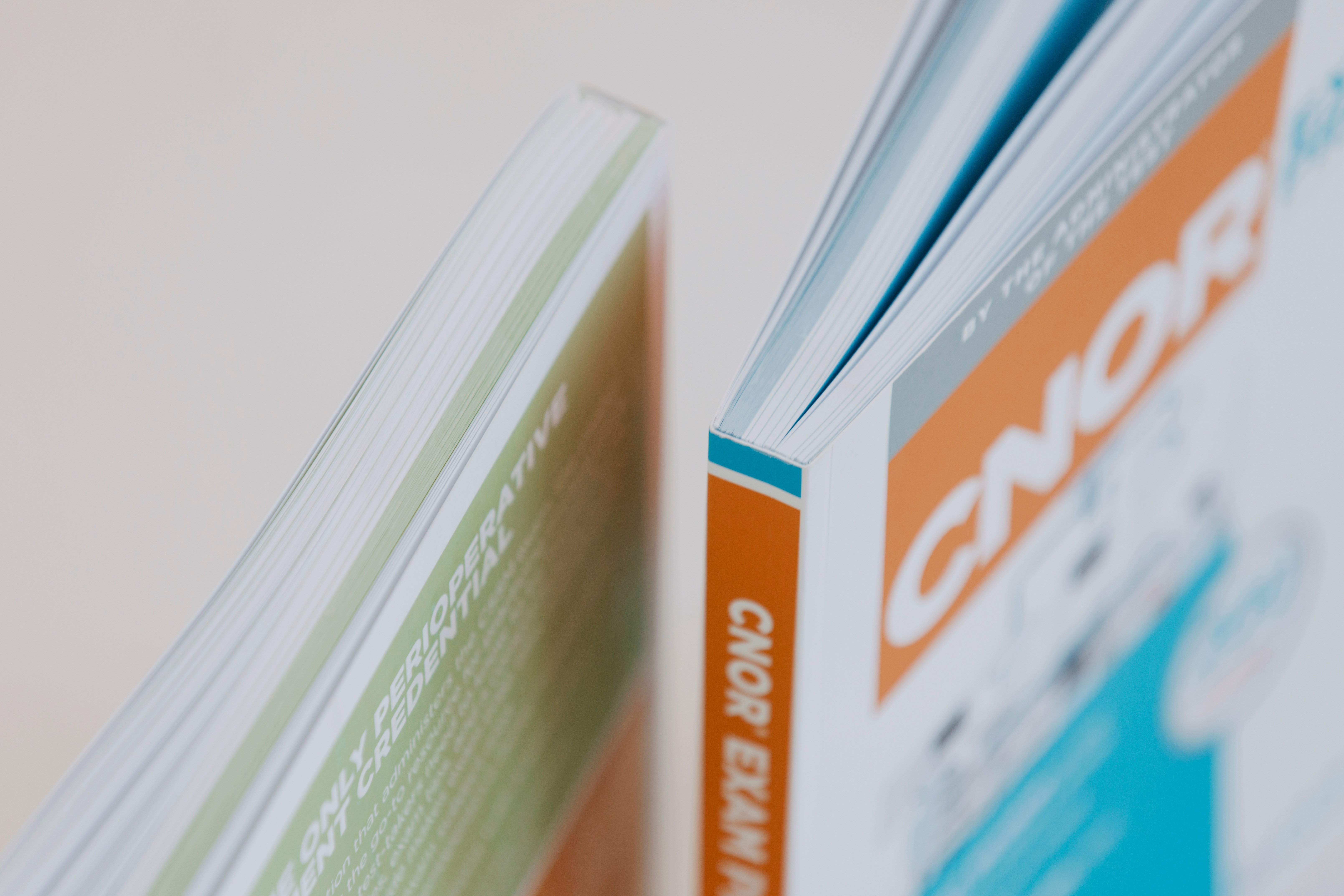 Melissa Nosik Branding_082 (4)